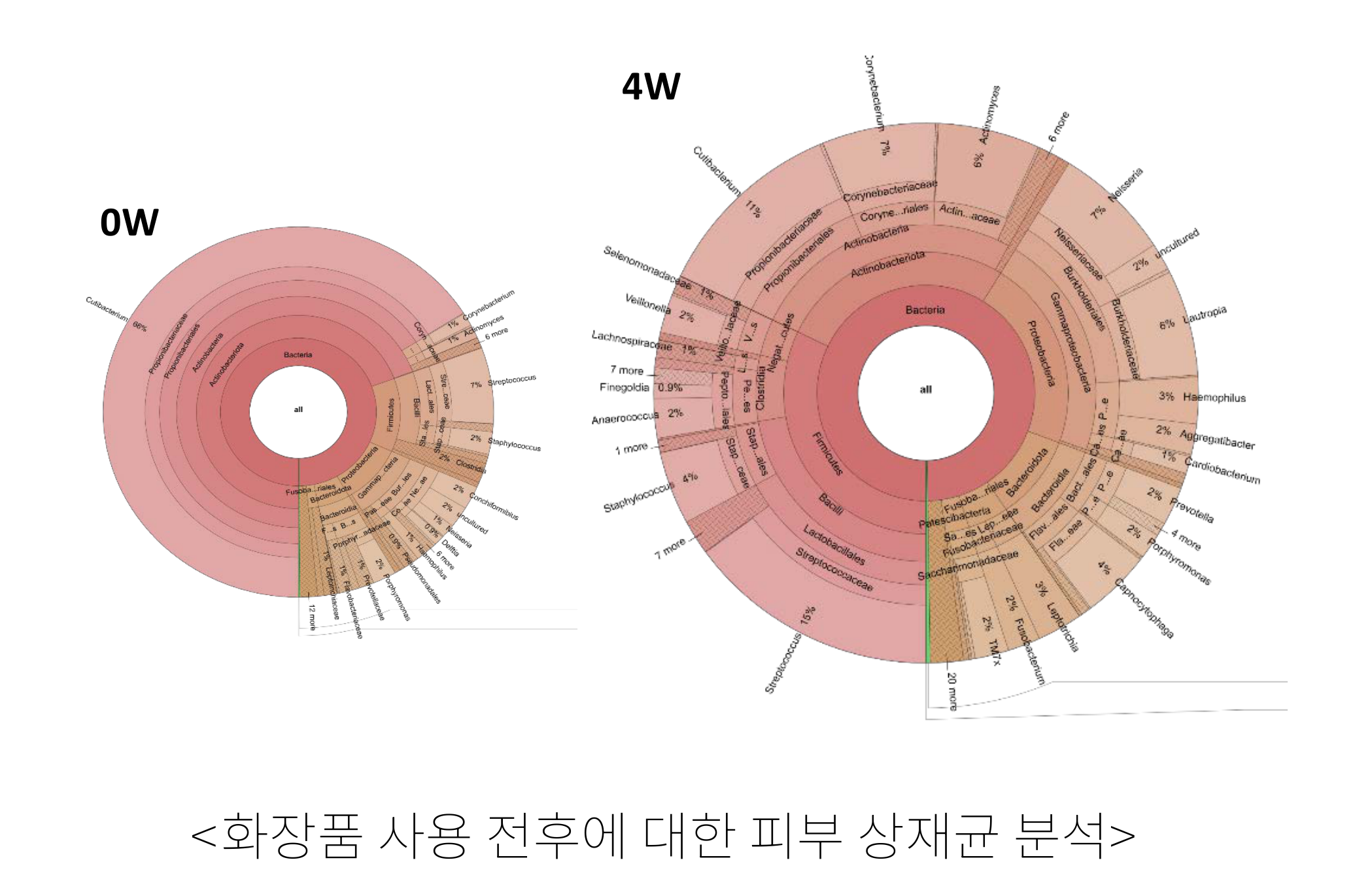 피부 마이크로바이옴 평가 원본 그래프
